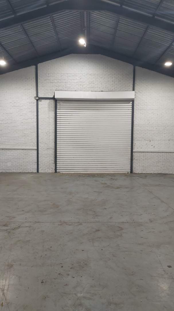 To Let commercial Property for Rent in Newton Park Eastern Cape
